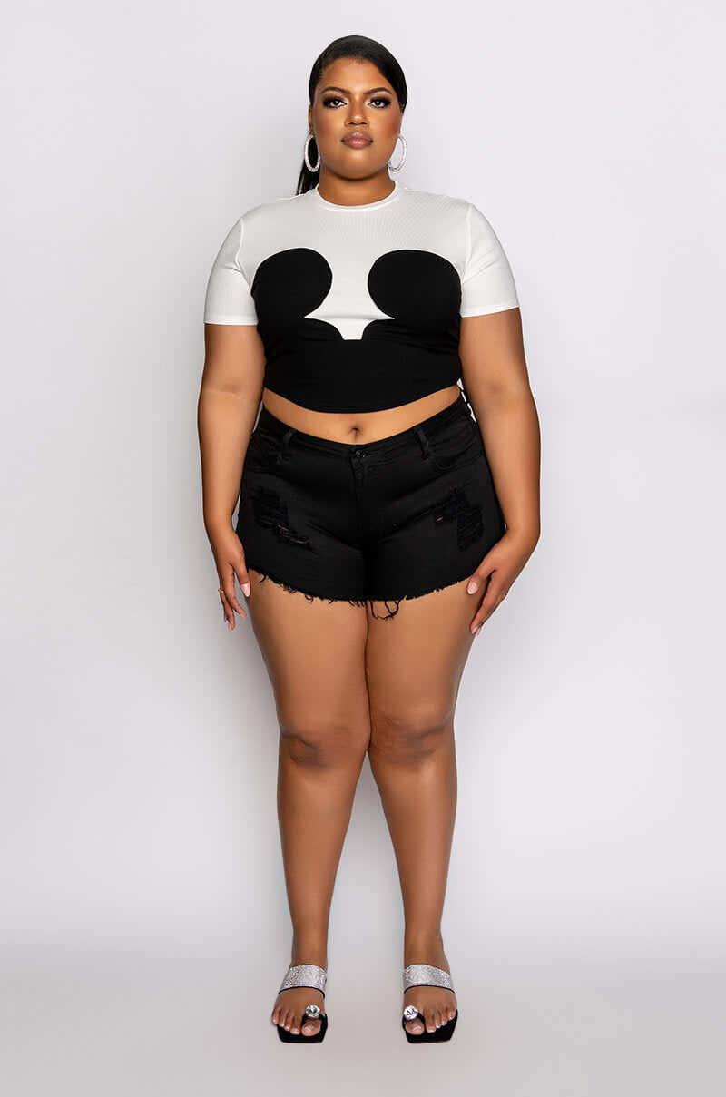 PLUS DAPHNE COLORBLOCK CREW NECK TSHIRT